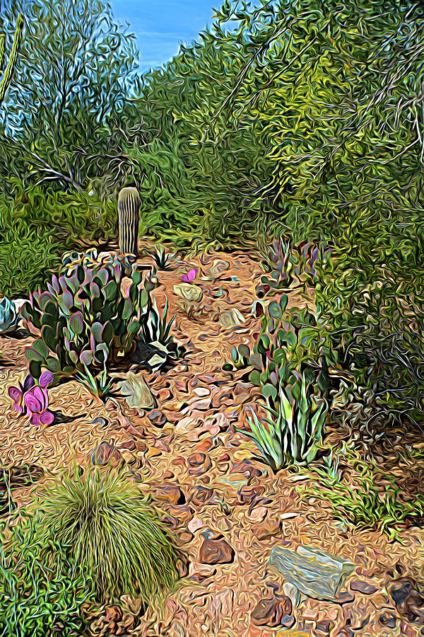 Expressionalism Desert Path Photograph by Aimee L Maher ALM GALLERY