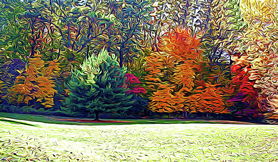 Expressionalism Fantastic Fall Photograph by Aimee L Maher ALM GALLERY
