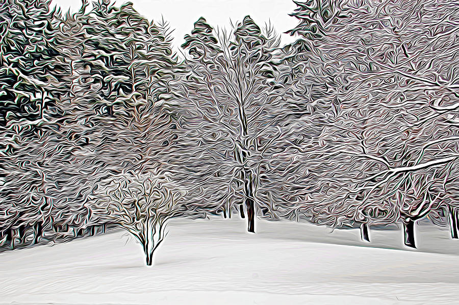 Expressionalism Fresh Snow Scene Photograph by Aimee L Maher ALM GALLERY