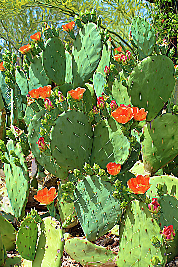 Expressionalism Orange Blossom Cactus Photograph by Aimee L Maher ALM GALLERY