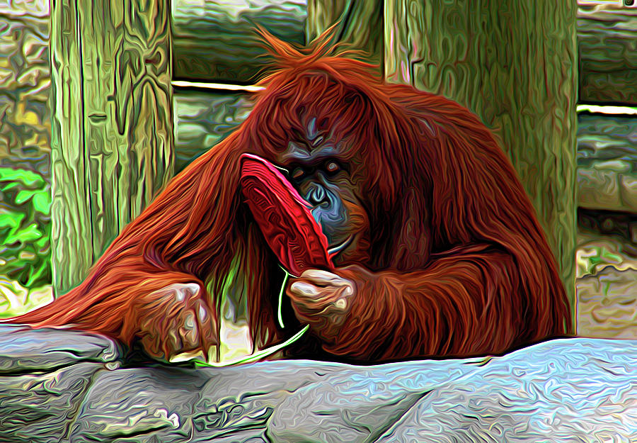 Expressionalism Orangutan 2 Photograph by Aimee L Maher ALM GALLERY