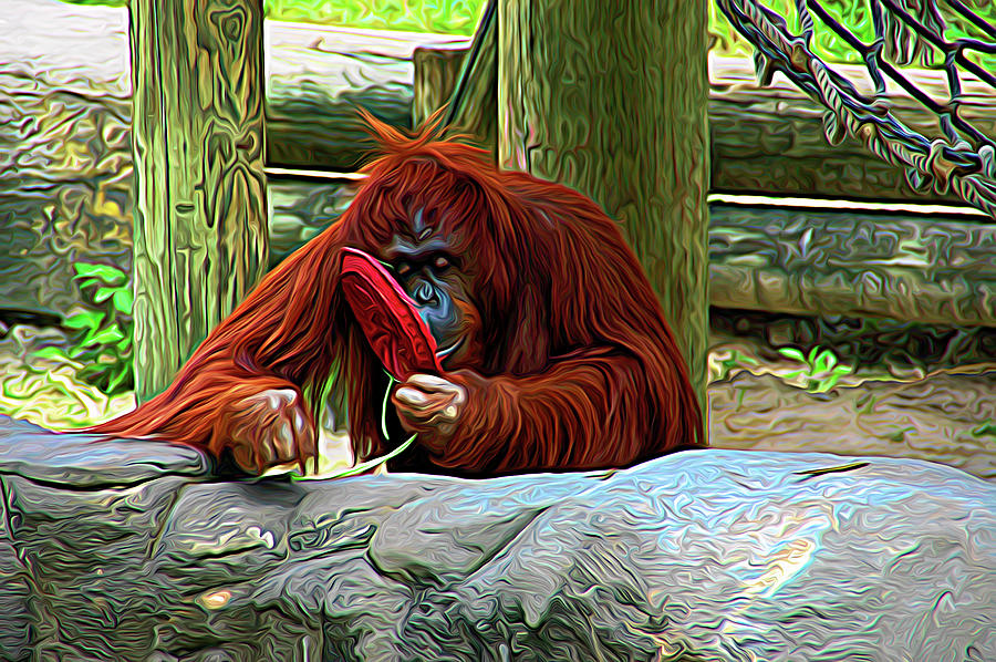 Expressionalism Orangutan Photograph by Aimee L Maher ALM GALLERY