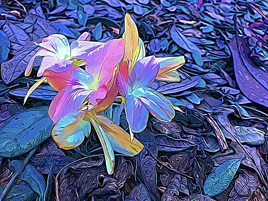 Expressionalism Pastel Petals Photograph by Aimee L Maher ALM GALLERY