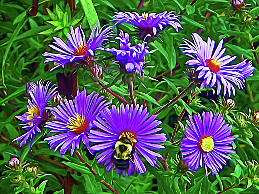 Expressionalism Pollinating Photograph by Aimee L Maher ALM GALLERY