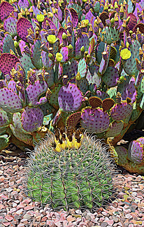 Expressionalism Prickly Pear Blooms Photograph by Aimee L Maher ALM GALLERY
