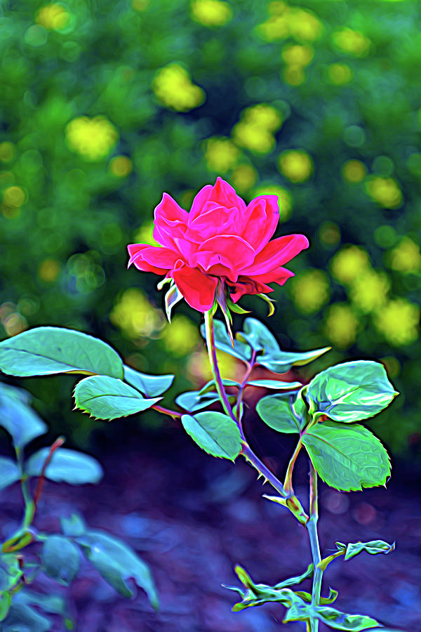 Expressionalism Red Knockout Rose Vertical Photograph by Aimee L Maher ALM GALLERY