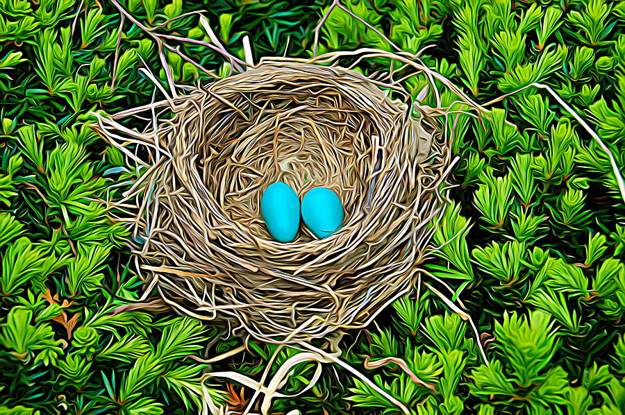 Expressionalism Robins Nest Photograph by Aimee L Maher ALM GALLERY