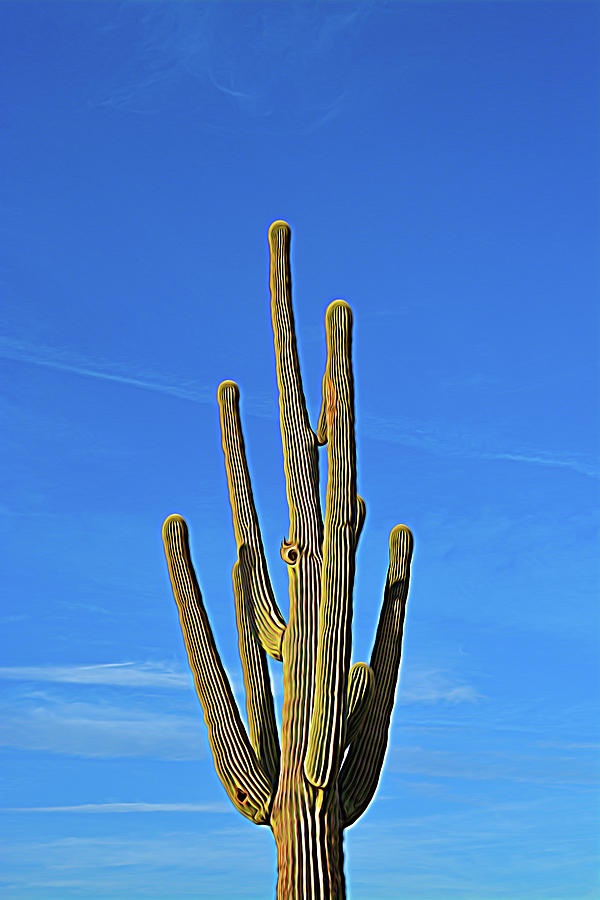 Expressionalism Saguaro Cactus Photograph by Aimee L Maher ALM GALLERY