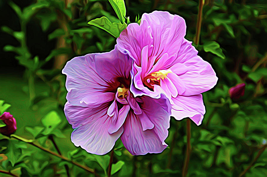 Expressionalism Summer Blossom Photograph by Aimee L Maher ALM GALLERY