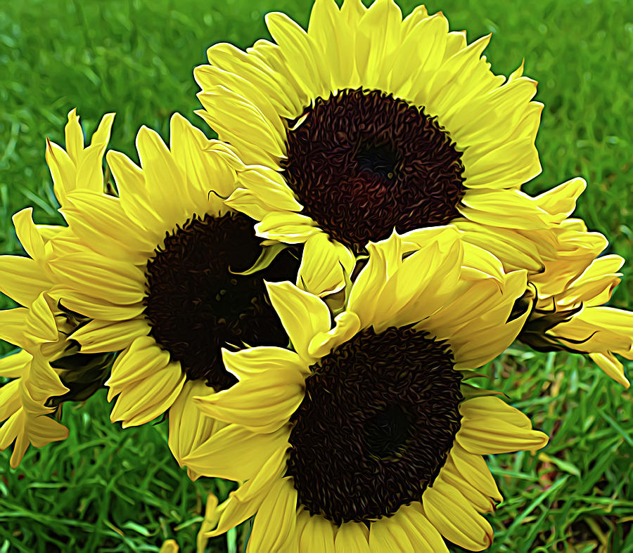 Expressionalism Sunflower Bouquet Photograph
