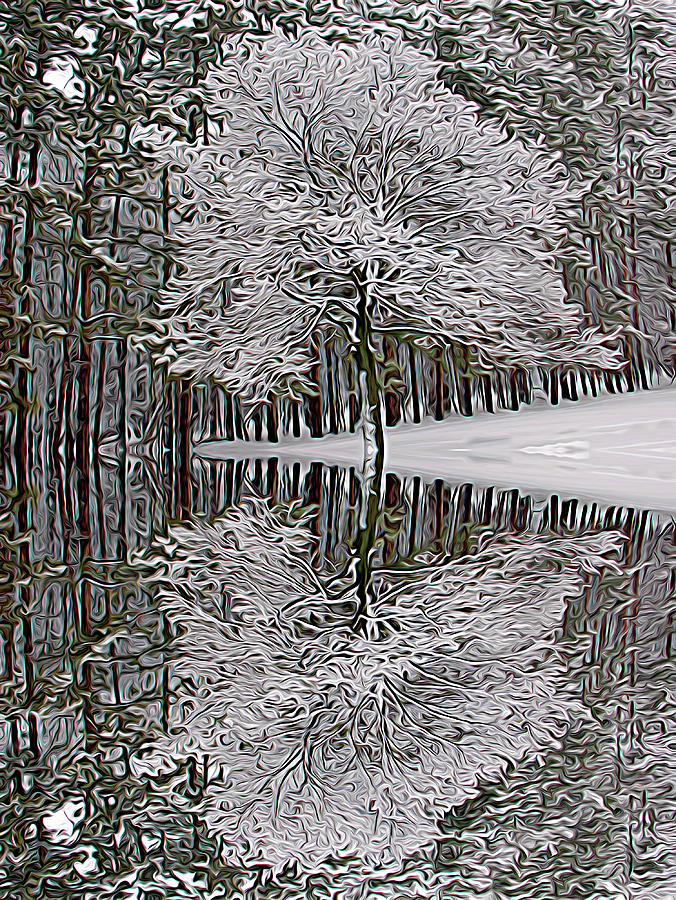Expressionalism Winter Reflection Photograph by Aimee L Maher ALM GALLERY