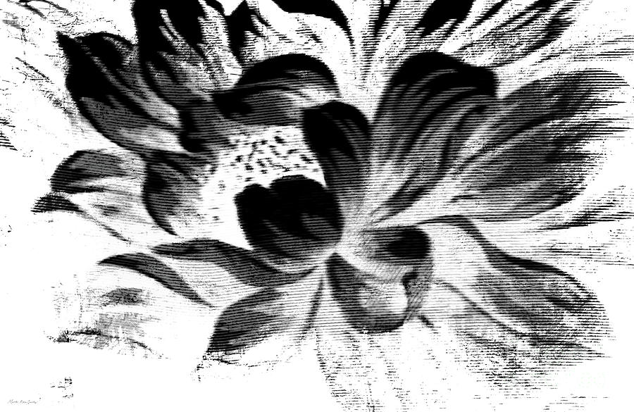 Expressive Black And White Abstract Floral A8816 Painting by Mas Art Studio