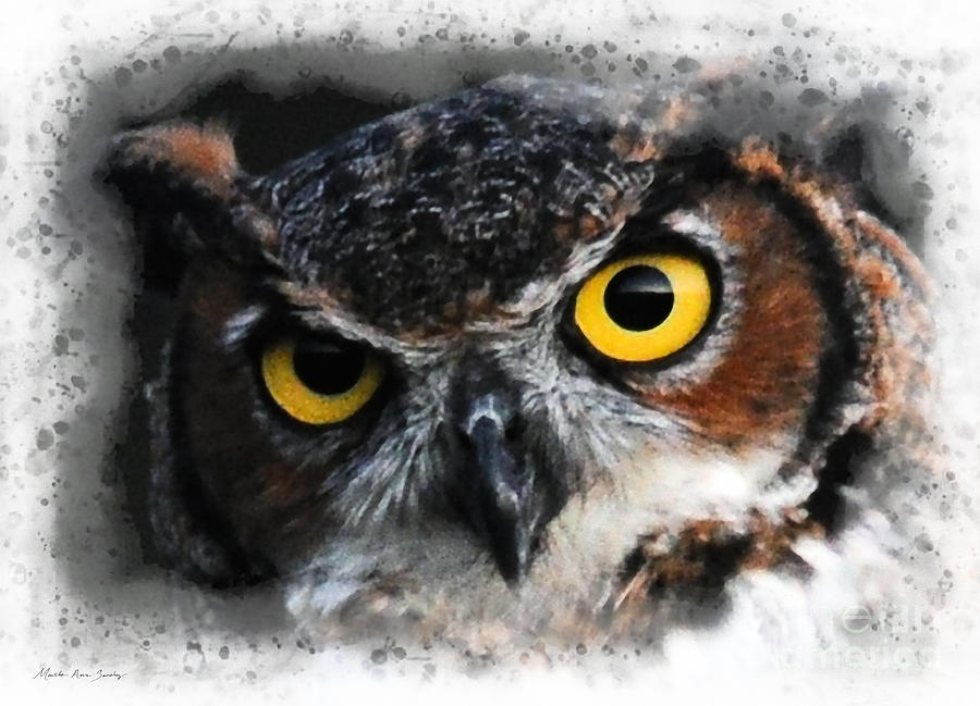 Expressive Owl Digital A2122216 Digital Art by Mas Art Studio