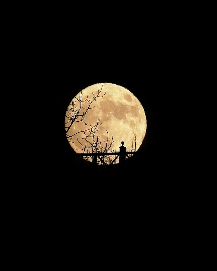 Moonrise Photograph - Extra-Super Supermoon 2016 by Diane Zucker
