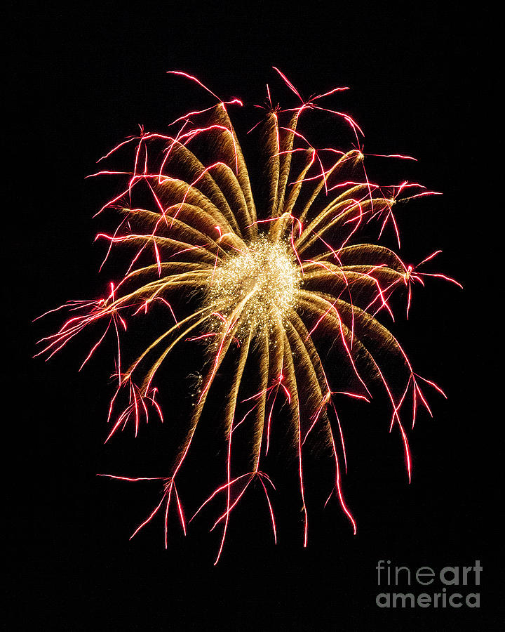Extraterrestrial Fireworks Photograph by Karen Jorstad