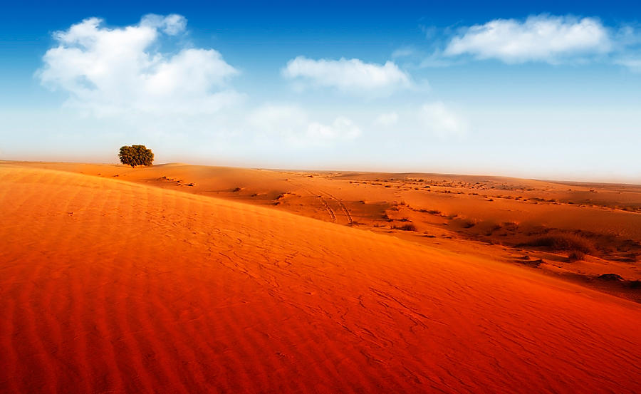 Extreme desert Photograph by Anna Om