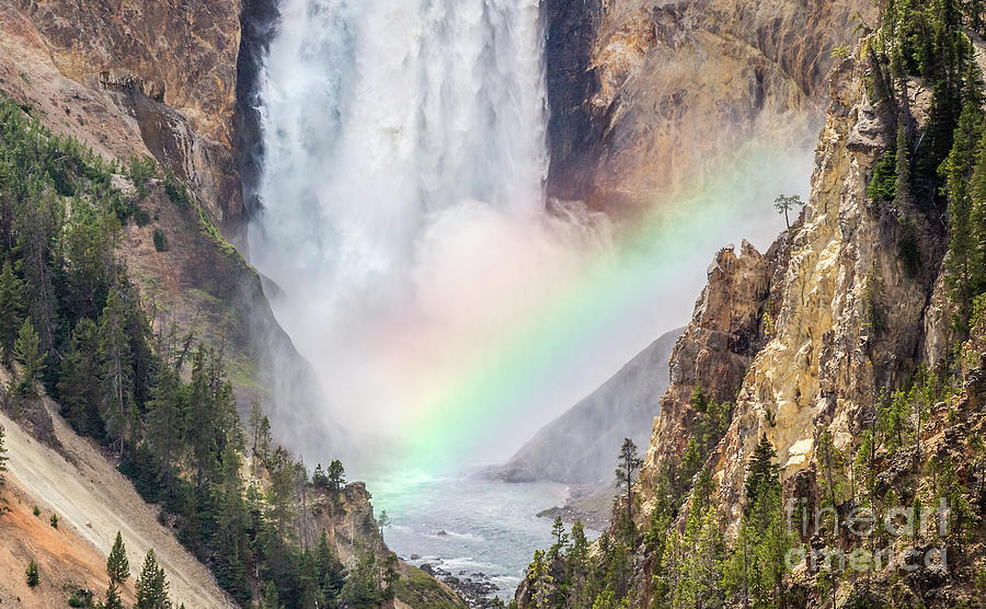 Yellowstone Lower Falls and Rainbow II Photograph by Karen Jorstad