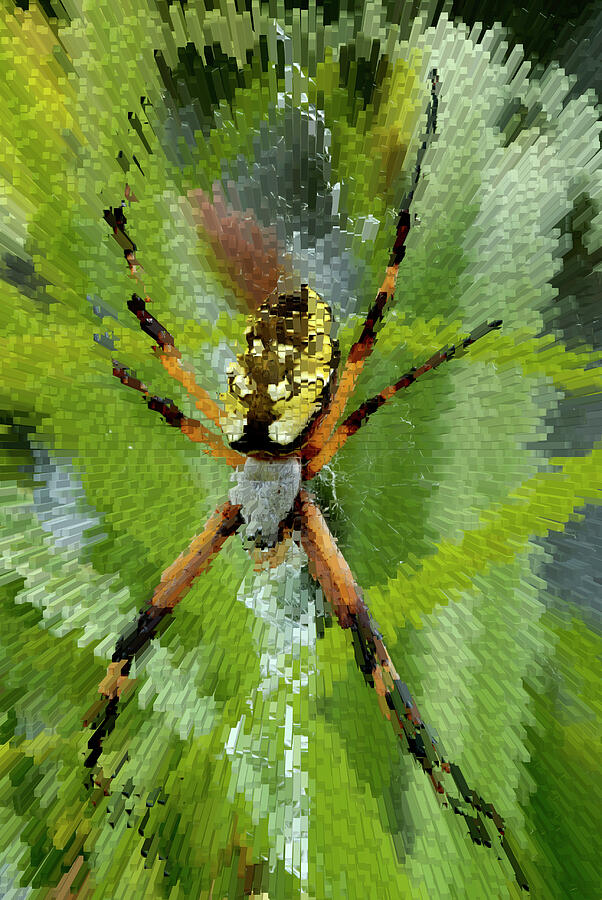 Abstract Photograph - Extruded Spider by Paul W Faust -  Impressions of Light