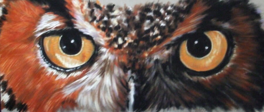 Great Horned Owl Stare Pastel by Barbara Keith