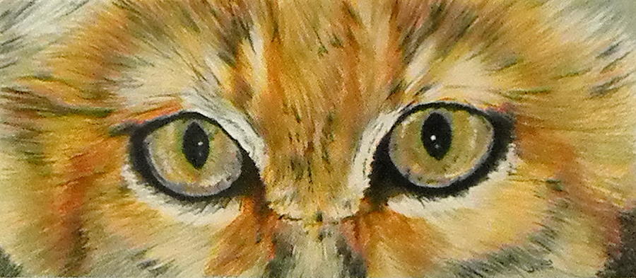 Sand Cat Gaze Painting by Barbara Keith