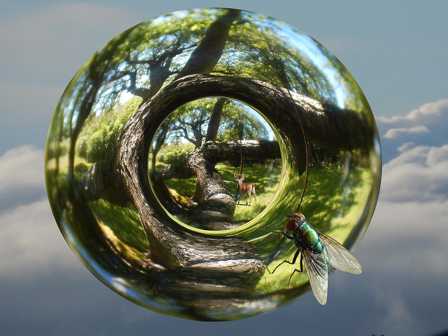 Eye Glass Drift Digital Art by Glen Faxon