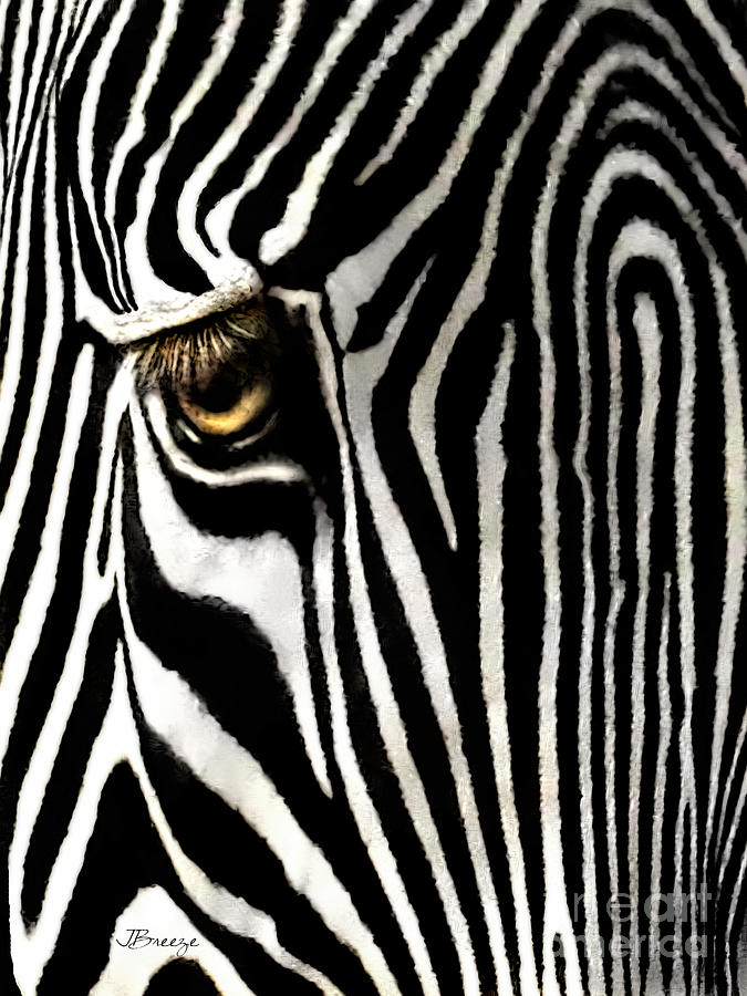 Eye of a Zebra Photograph by Jennie Breeze