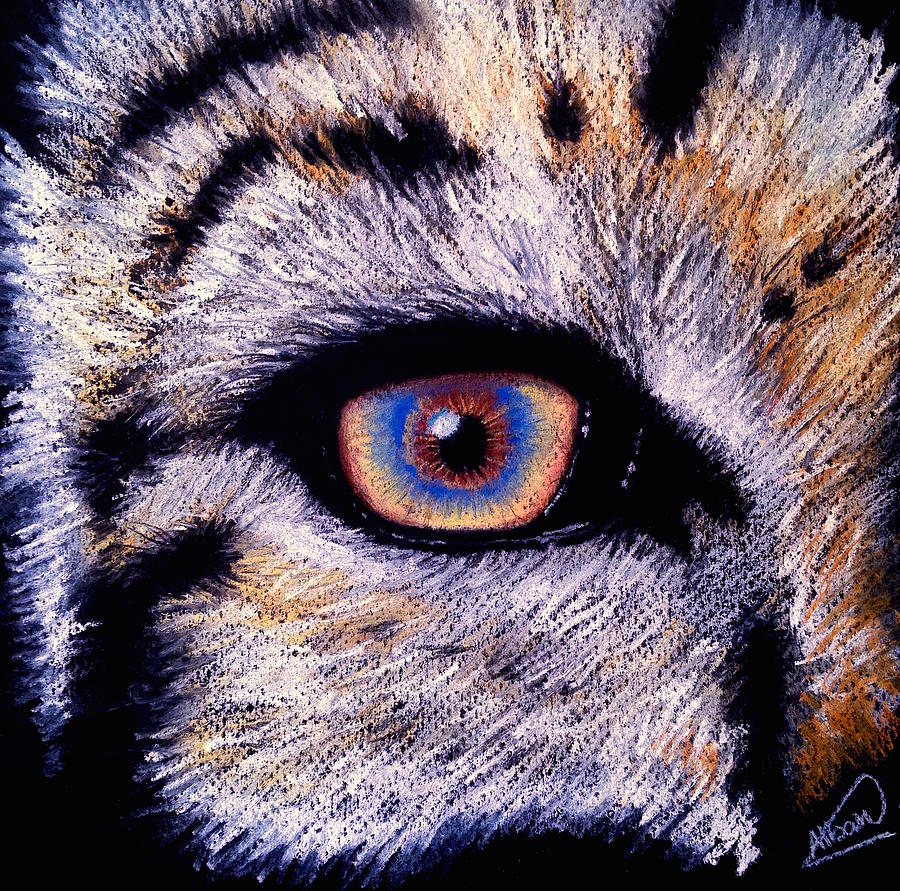 Eye of a Tiger Drawing by Alban Dizdari