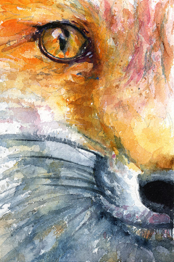 Eye of Fox Painting by John D Benson