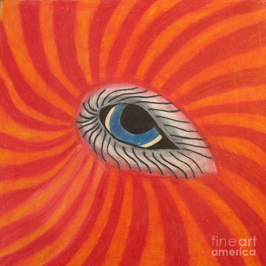 Eye Of The Beholder Drawing By Juli House Fine Art America