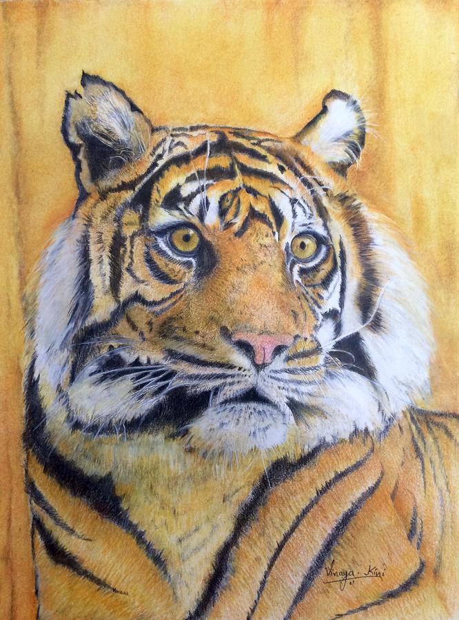 Nature Painting - Eye of the Tiger by Vinaya Kini Nature Painting - Eye of the Tiger by Vinaya Kini