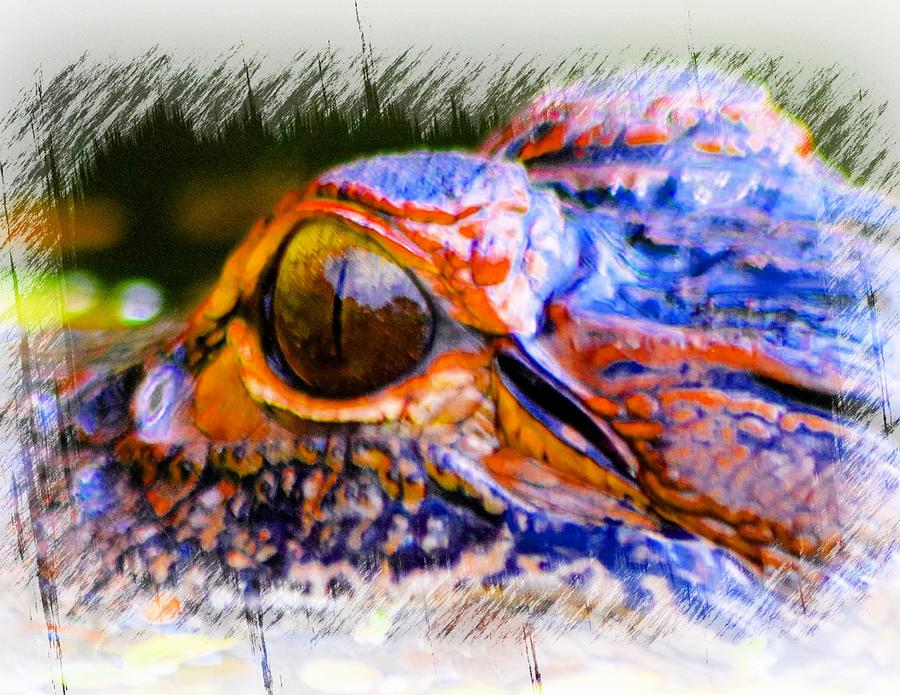 Eye of the Gator Photograph by Sheri McLeroy