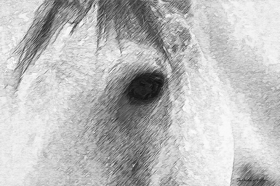 Eye Of The Horse Digital Art