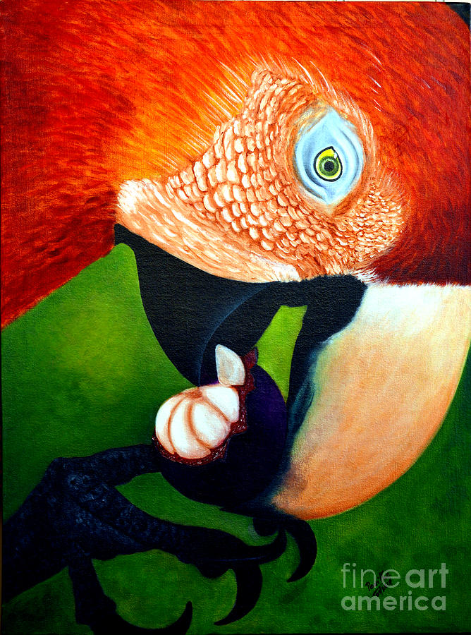Eye Of The Macaw Painting
