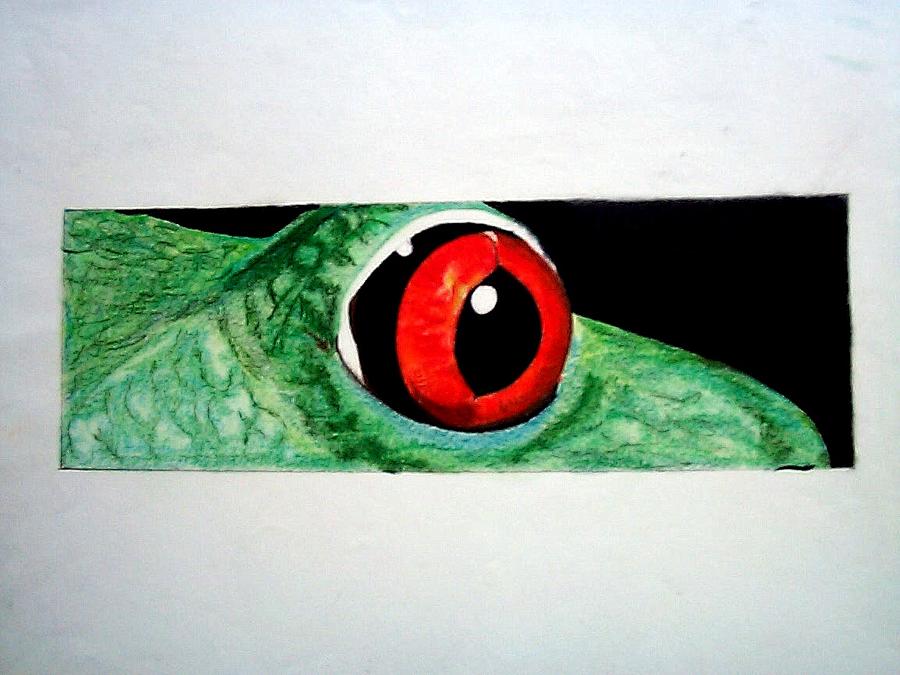 Animal Drawing - Eye of the Red eyed tree frog by Martin Lagewaard
