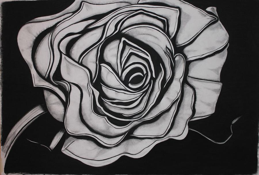 Eye of the Rose Drawing by Kimerer LaMothe - Fine Art America