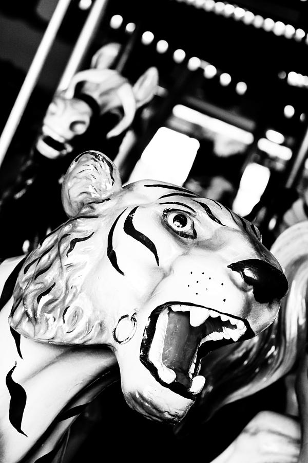 Black And White Photograph - Eye of the Tiger by Colleen Kammerer