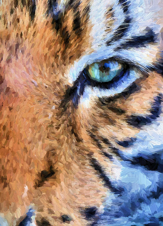 Auburn University Photograph - Eye of the Tiger by JC Findley