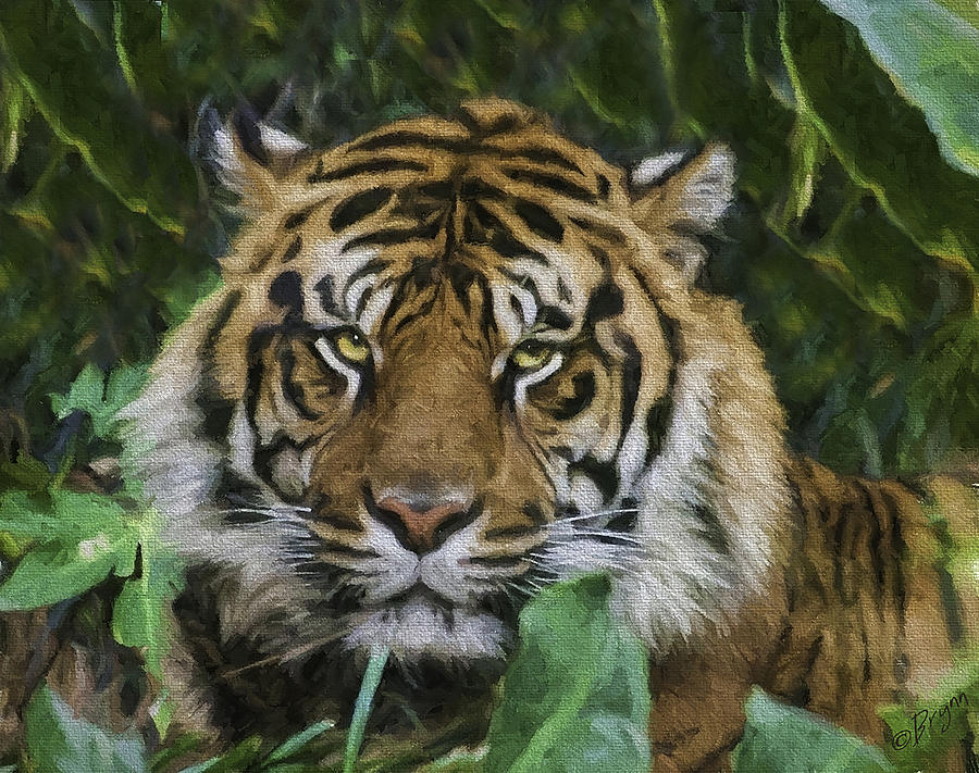 Animal Photograph - Eye of the Tiger by Lynn Andrews
