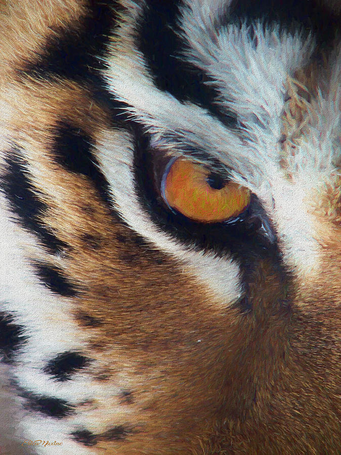 Mug Painting - Eye of the Tiger - Painted by Ericamaxine Price