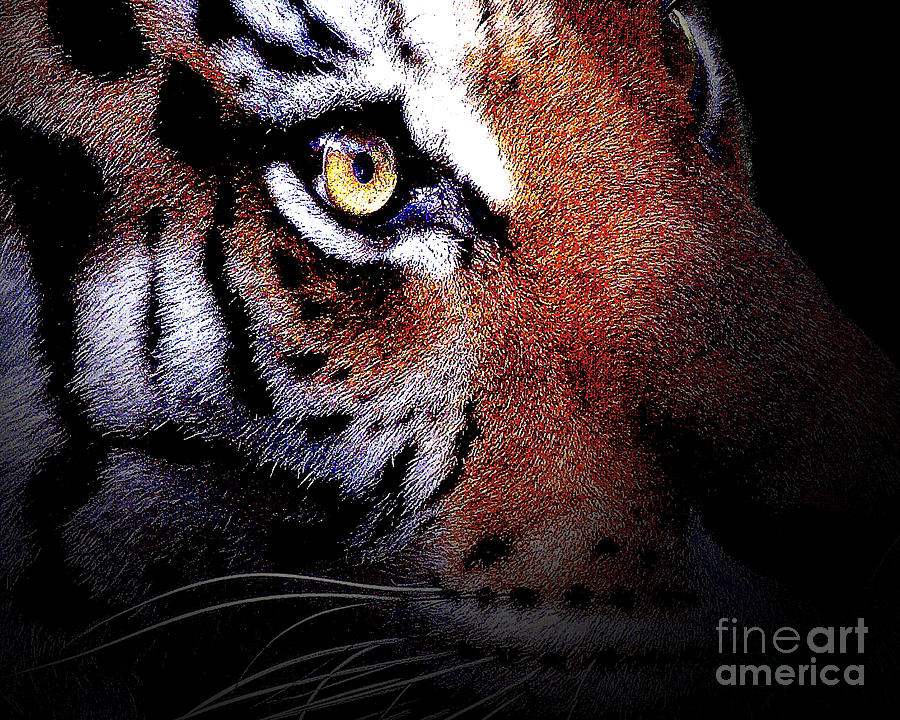 Cincinnati Bengals Digital Art - Eye of the Tiger by Wingsdomain Art and Photography