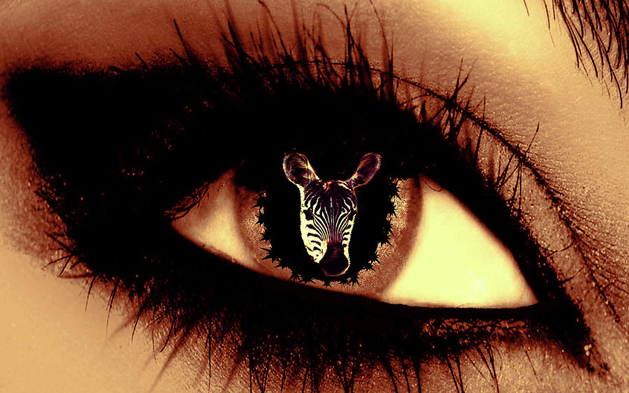Eye of the Zebra Digital Art by Eddie Eastwood