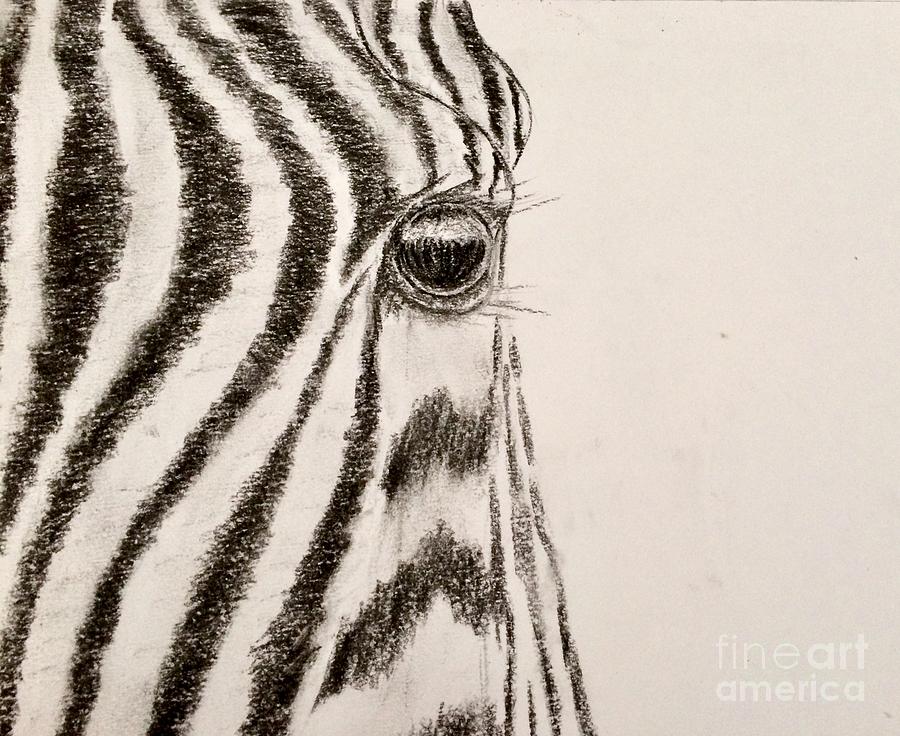 Eye of zebra Drawing by Natalia Wallwork - Fine Art America