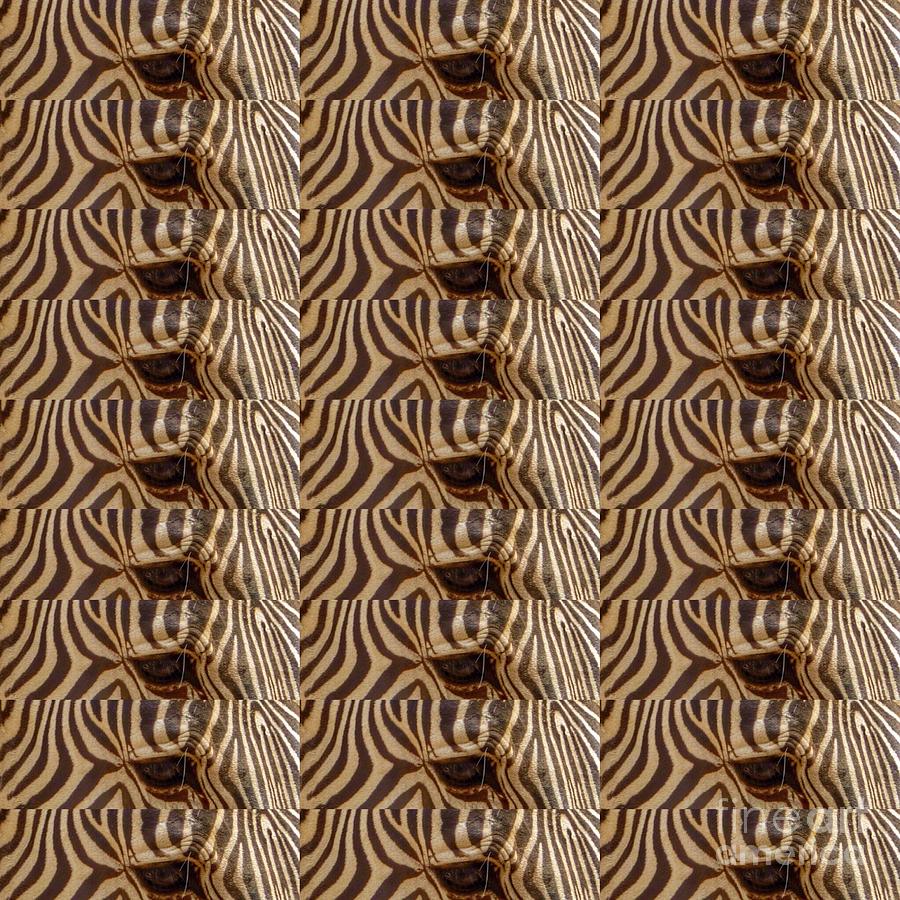 Pattern Photograph - Eye Of Zebra by Susan Garren