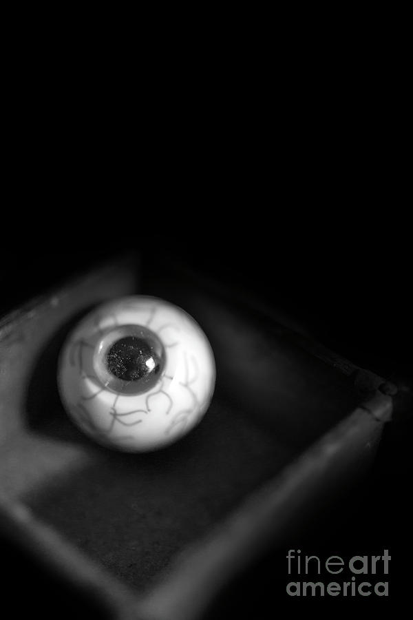 Eye on You Photograph by Edward Fielding