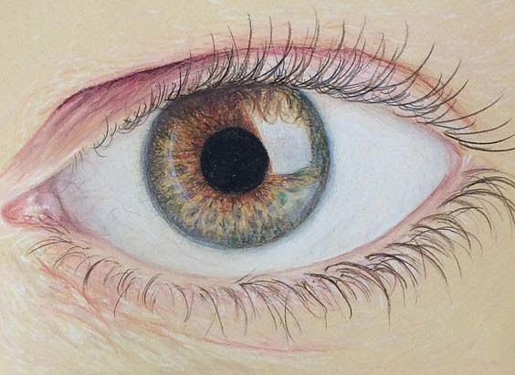 Eye See You Drawing by Joanne Michel - Fine Art America