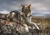 Wolf Painting - Eye To Eye - Grey Wolf by Rebecca Latham Wolf Painting - Eye To Eye - Grey Wolf by Rebecca Latham
