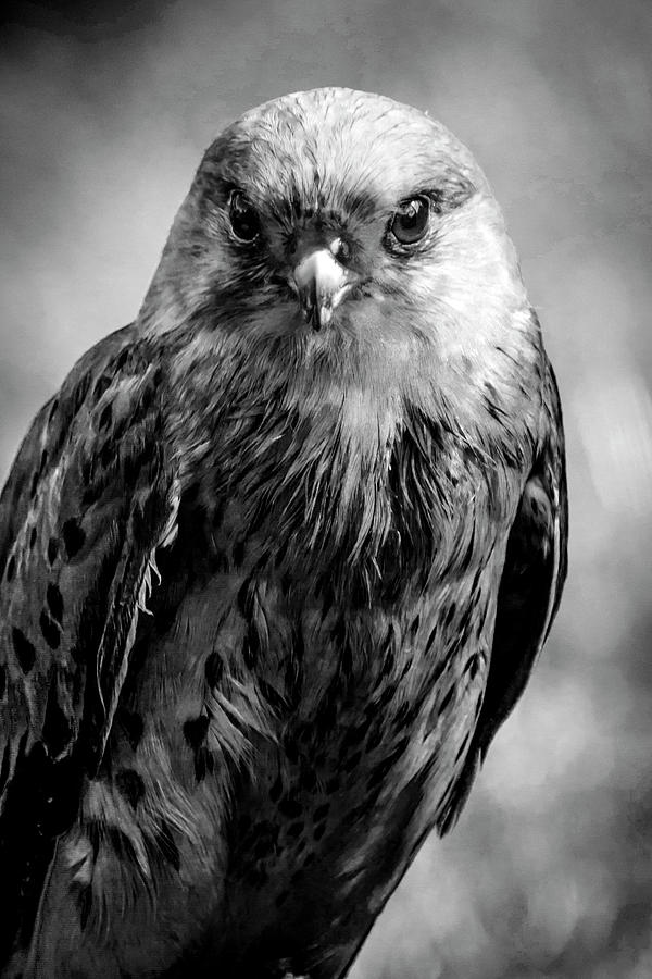 Eye to eye by Cliff Norton Eye to eye by Cliff Norton
