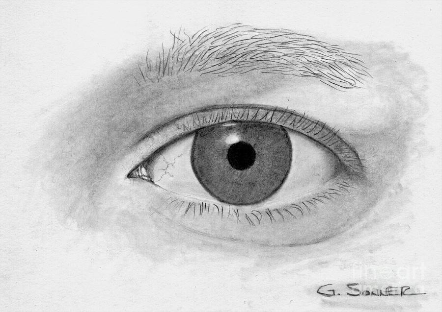Eye to Eye Drawing by George Sonner