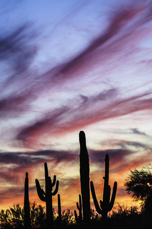 Eye to the Sky by Rusty Childress Eye to the Sky by Rusty Childress