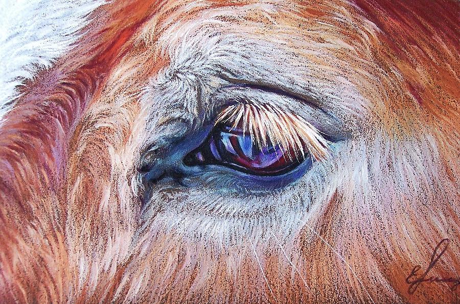 Animal Drawing - Eyelashes by Elena Kolotusha
